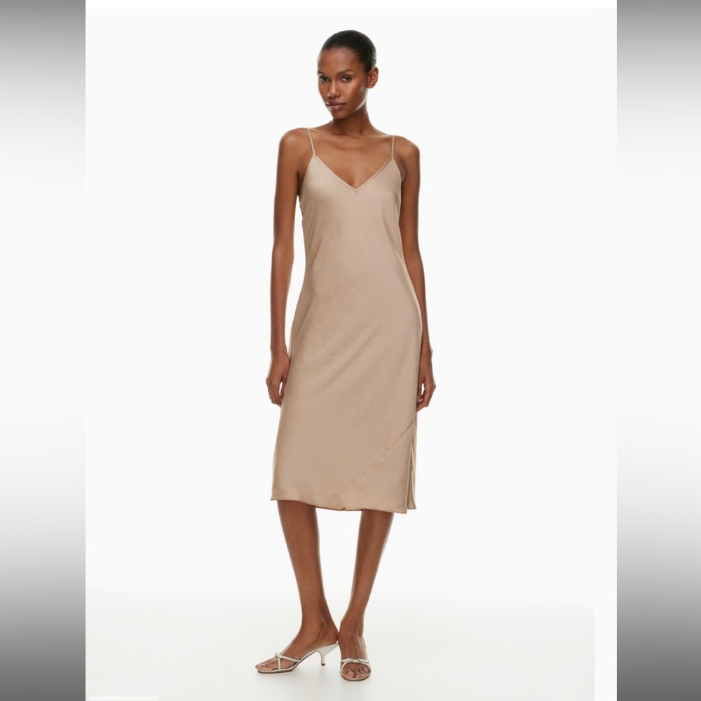 aritiza dress